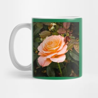 Solitary rose Mug